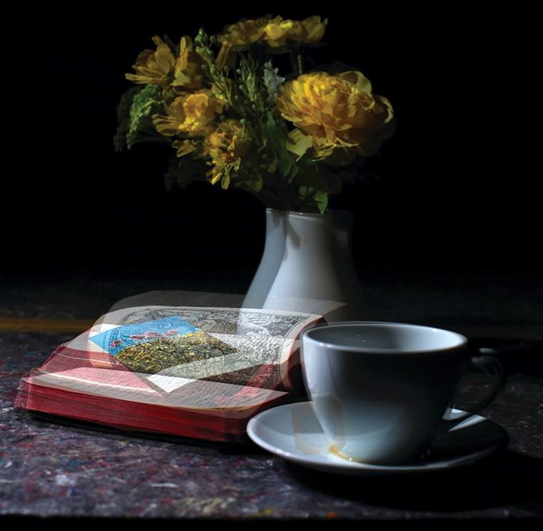 Milano Museocity a Villa Medici