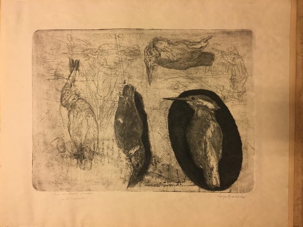 Milano MuseoCity. Casa Boschi di Stefano