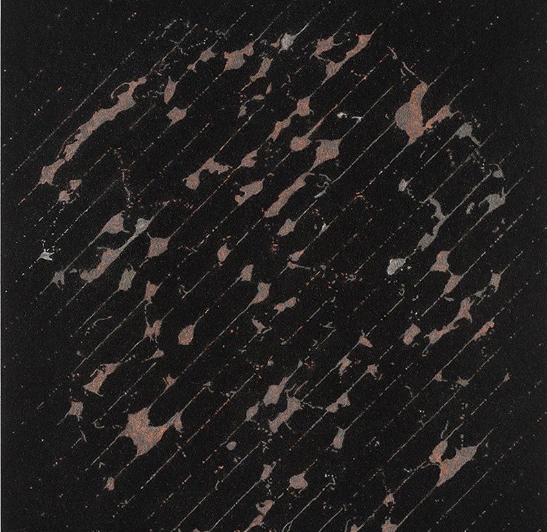 Gal Weinstein, Untitled, 2018