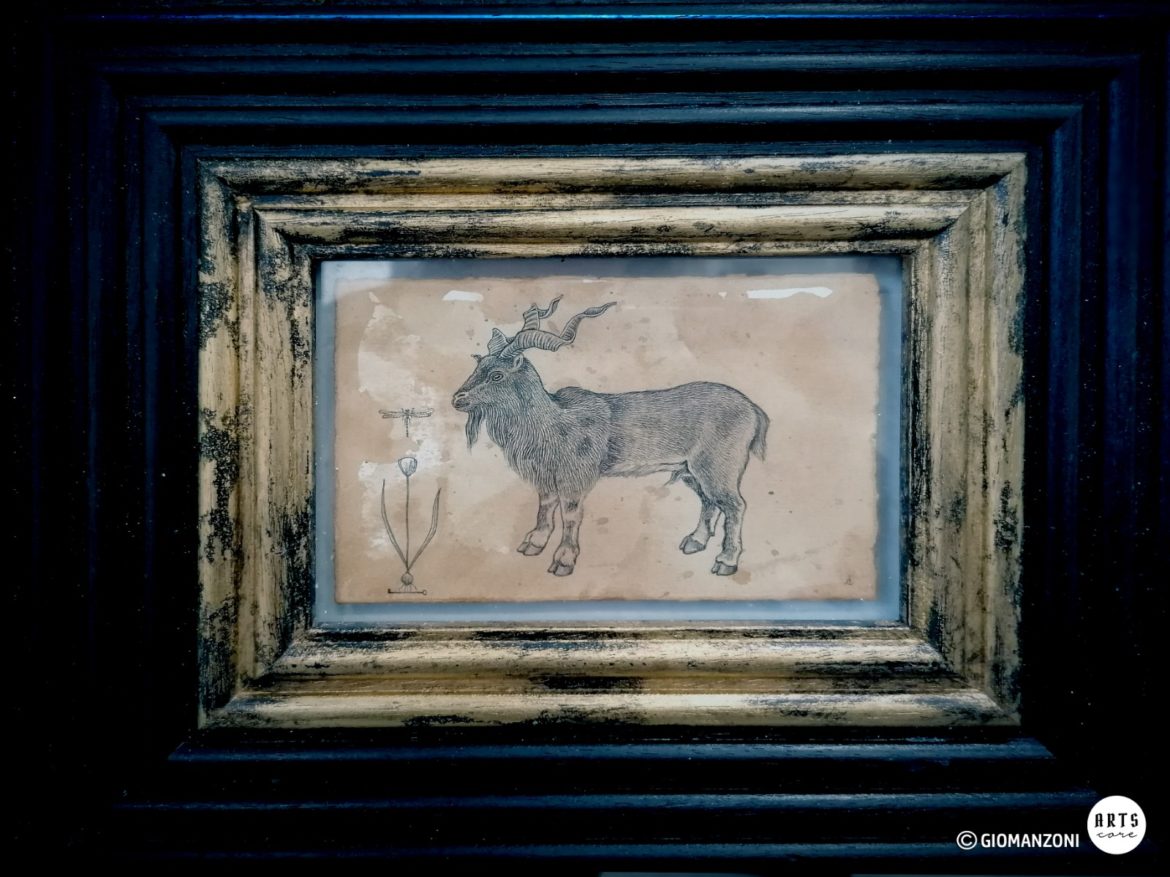 Wopart 2019. Andrea Collesano