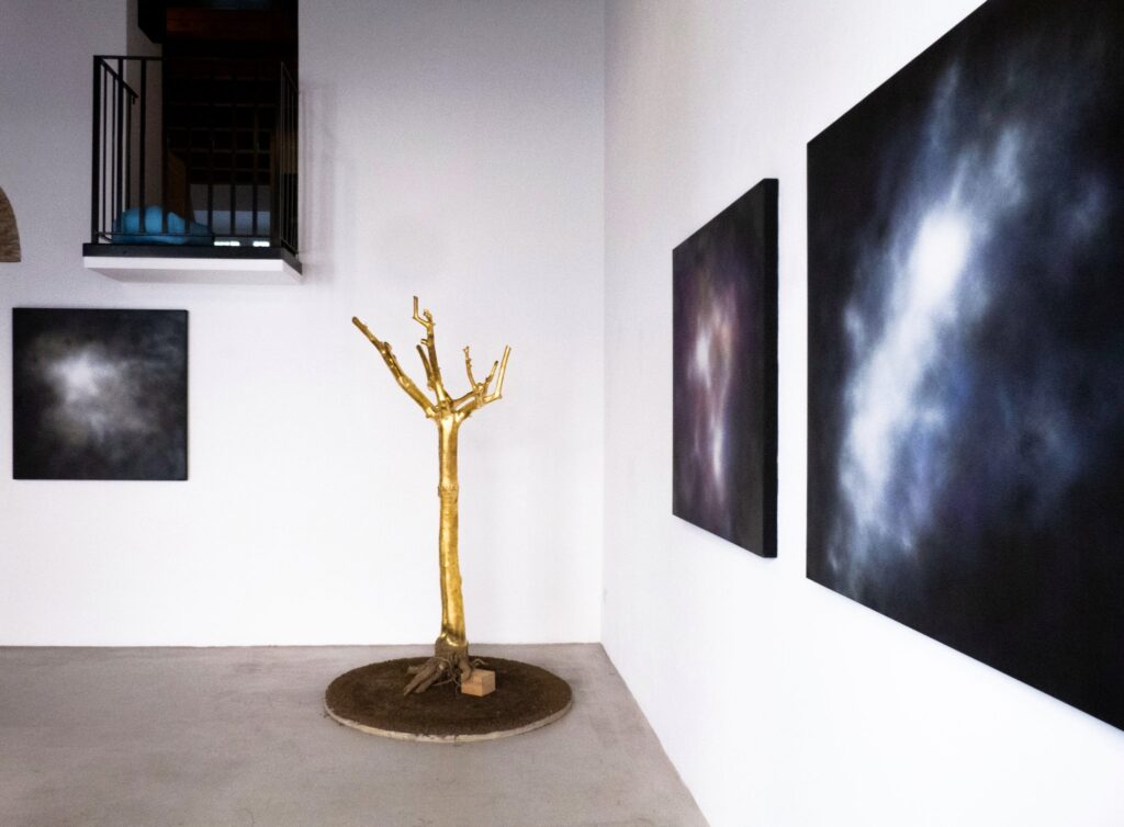 Installation view 1- Villa Contemporanea-artscore.it