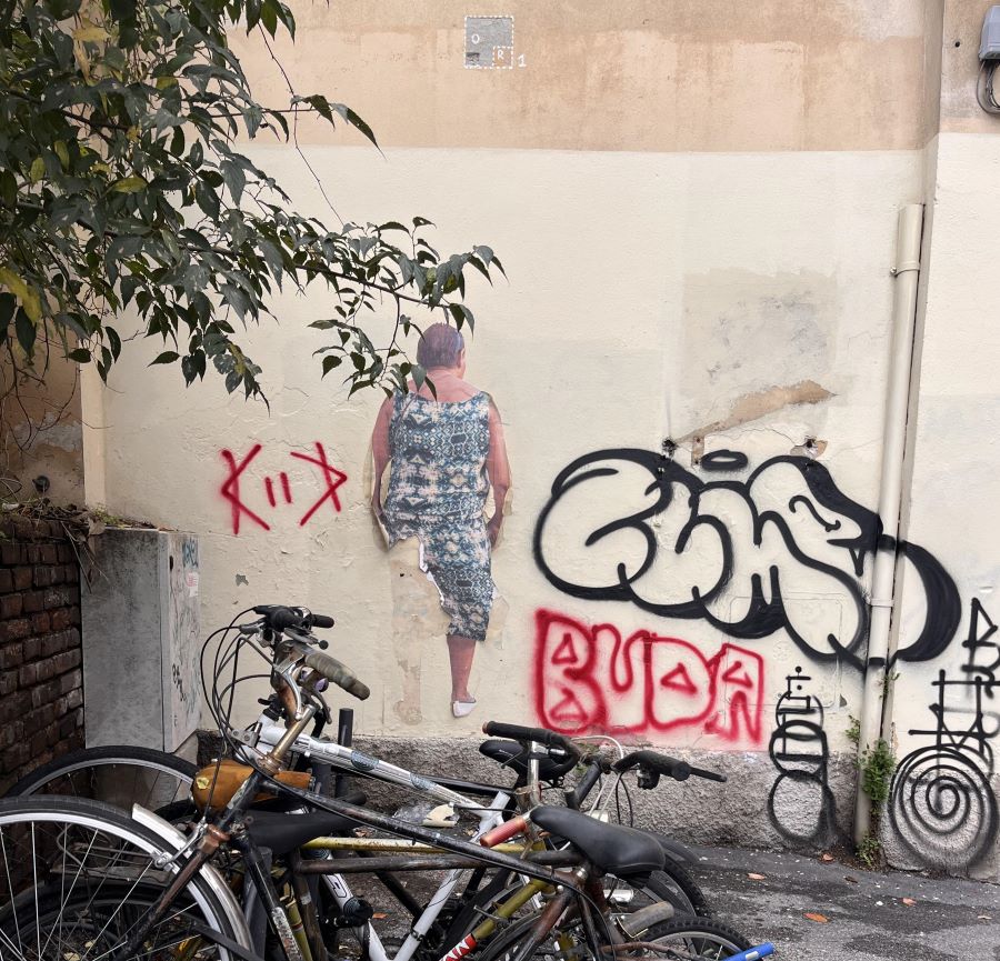 Vantees. Courtesy la città di Bologna