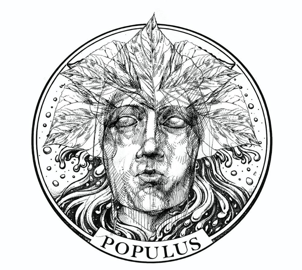 POPULUS. Logo- artscore.it