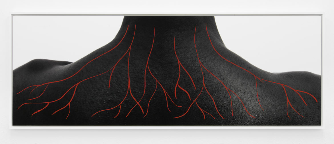 Binta Diaw, Paysage Corporel I, 2018