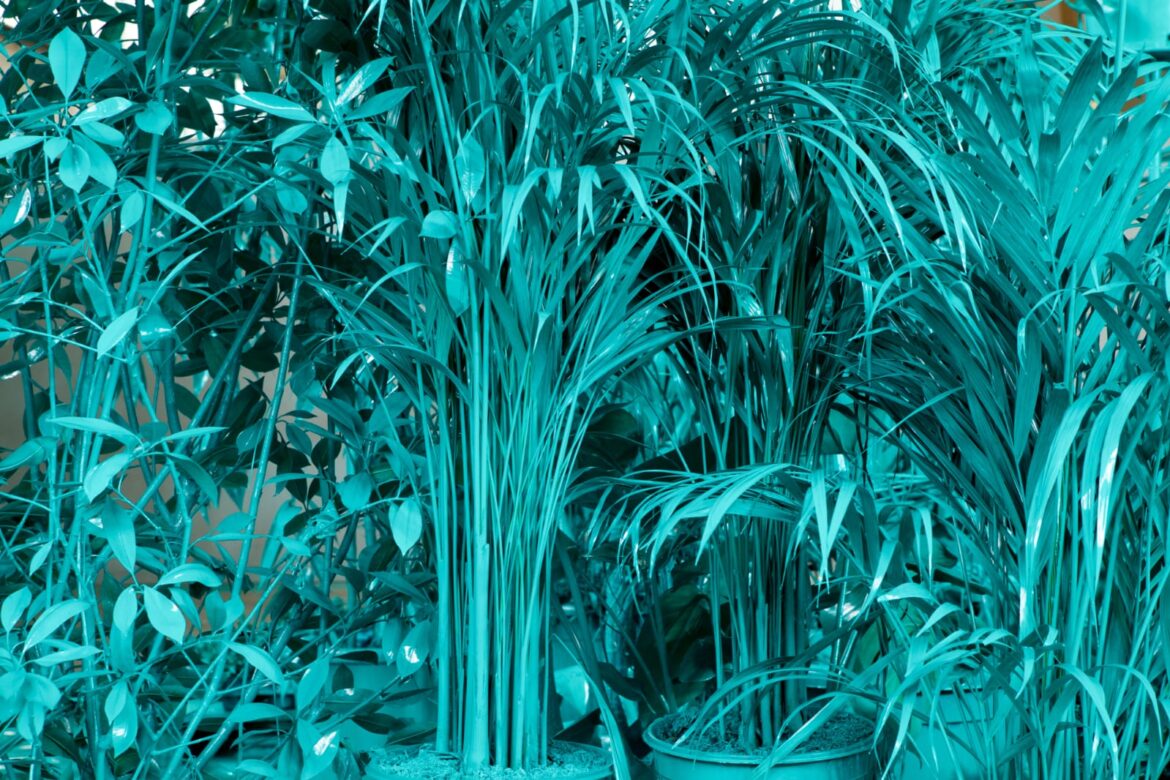 La Natura e l'Artificio di Giacomo Cossio. ControNatura, dettaglio in azzurro intenso- artscore.it