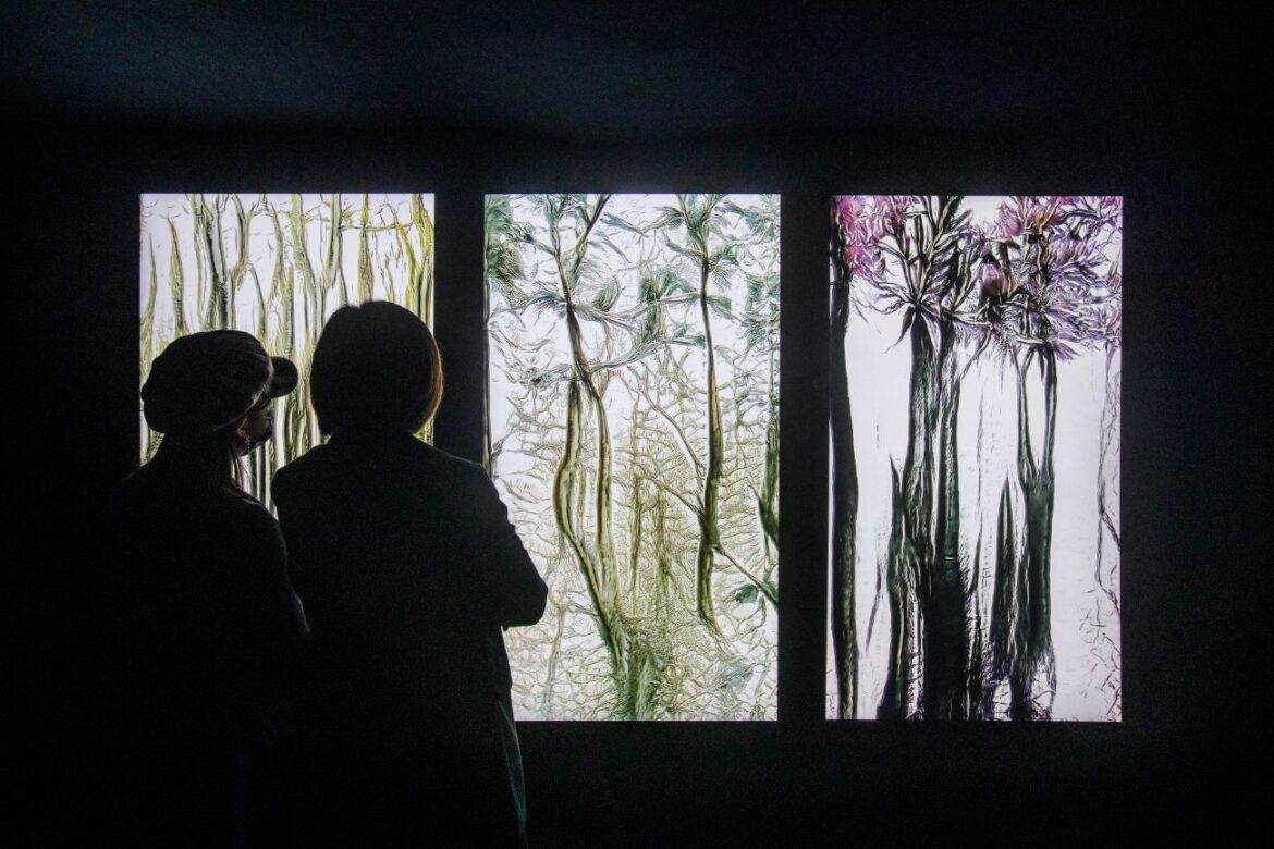 Le piante e l'arte contemporanea. Artificial Botany di fuse